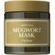 Заспокійлива протизапальна маска з полином і центелою I&rsquo;m From Mugwort Mask, 110 г IF001 фото 2